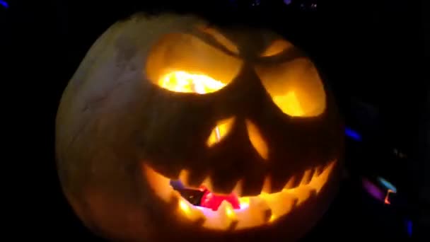 Funny Pumpkin Halloween Holiday — Stock Video