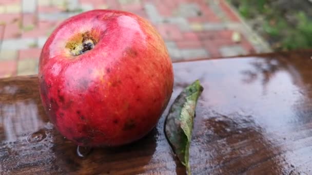 Стерти Червоне Яблуко Під Дощем — стокове відео