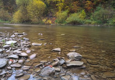 Dağ nehrinin sisli sonbahar manzarası