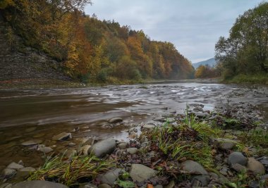 Dağ nehrinin sisli sonbahar manzarası