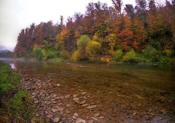 Paesaggio Autunnale Del Fiume Montagna Nella Nebbia — Foto Stock