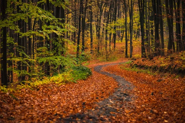 Paisagem Intitulada Fallen Turn — Fotografia de Stock