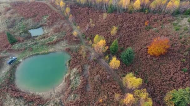 Sonbahar Karpatlar Inda Seyahatin Hava Fotoğrafçılığı — Stok video