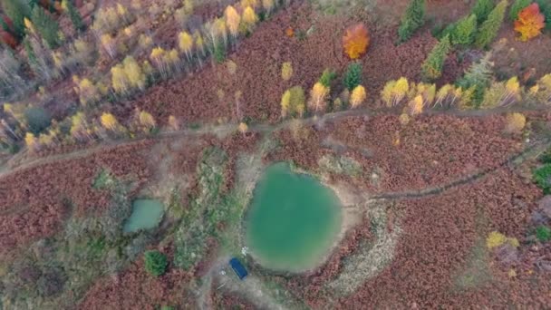 Sonbahar Karpatlar Inda Seyahatin Hava Fotoğrafçılığı — Stok video