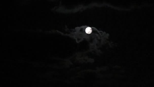 Caducidad Del Paisaje Nocturno Luna Llena — Vídeos de Stock