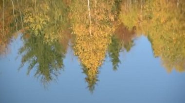 Bir dağ gölündeki sonbahar ormanının yansıması.