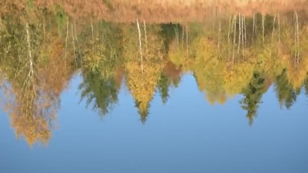 Bir Dağ Gölündeki Sonbahar Ormanının Yansıması — Stok video