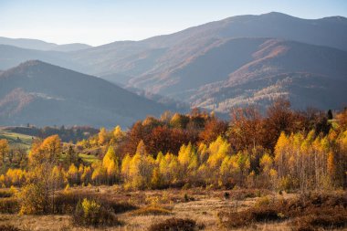 Güz Karpatları 'nın Manzaraları