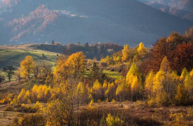 Güz Karpatları 'nın Manzaraları