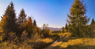 Güz Karpatları 'nın Manzaraları