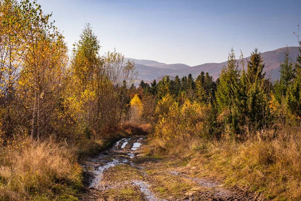 秋のカルパチア山脈の風景 — ストック写真