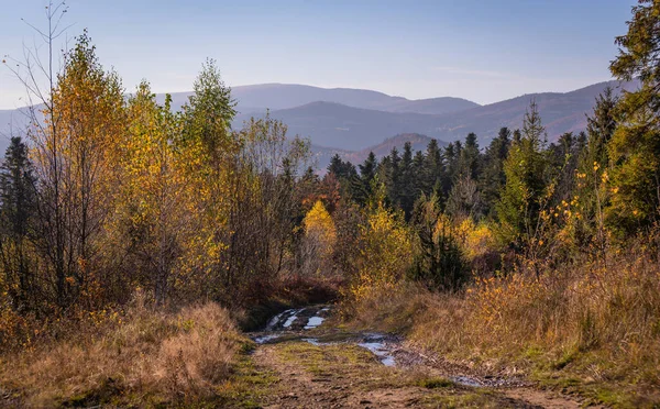 Paisagens Outono Montanhas Cárpatas — Fotografia de Stock