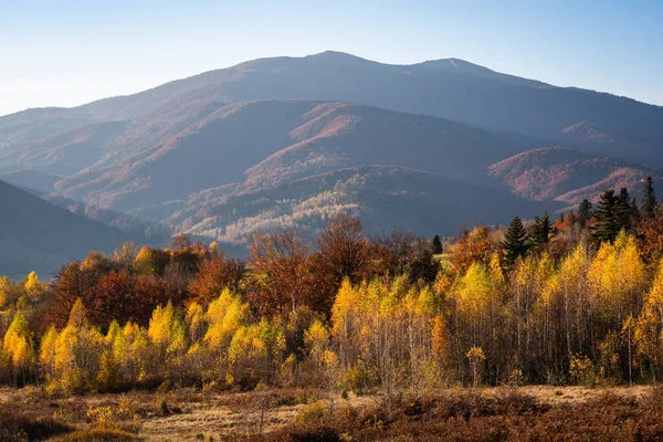 Paisajes Los Cárpatos Otoño —  Fotos de Stock