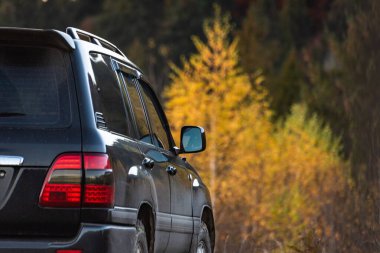 SUV sonbaharda Karpatlar 'da seyahat eder.