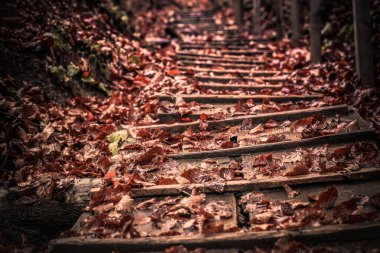 Zorlu Yol başlıklı manzara 