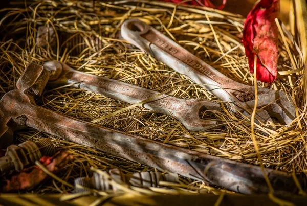 Natura Morta Intitolato Chocolate Set — Foto Stock