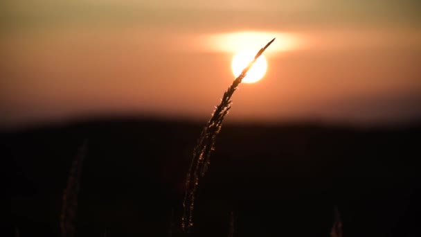 Západ Slunce Poli Podzim Karpat — Stock video