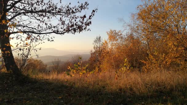 Landschaft Der Herbstlichen Karpaten — Stockvideo