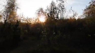 SUV sonbaharda Karpatlar 'da seyahat eder.