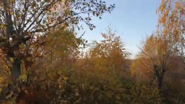 Suv Podróżuje Jesienią Karpaty — Wideo stockowe