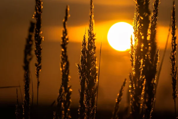 Zachód Słońca Polu Jesiennych Karpatach — Zdjęcie stockowe