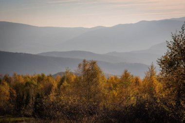 Sonbahar Karpat Dağları 'nın manzarası