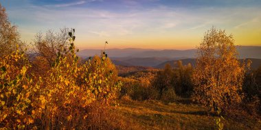 Sonbahar Karpat Dağları 'nın manzarası