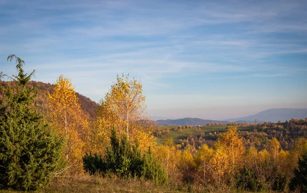 Ландшафт Осінніх Карпатських Гір — стокове фото