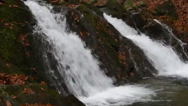 Cascade Dans Une Forêt Automne Montagne — Video