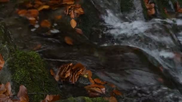 Waterval Een Berg Herfst Woud — Stockvideo