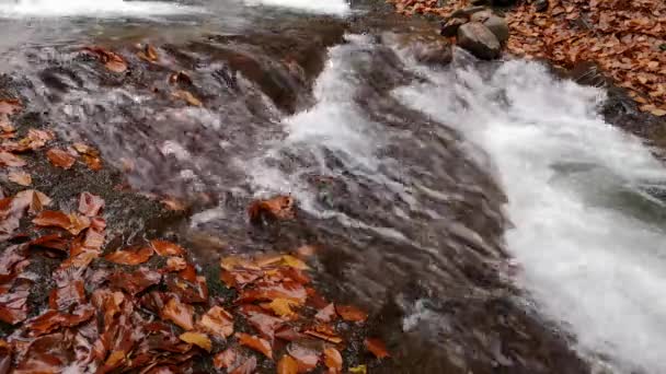 Wodospad Górskim Jesiennym Lesie — Wideo stockowe