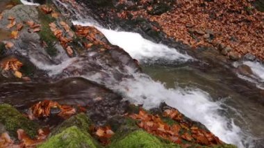 Dağdaki bir sonbahar ormanında şelale
