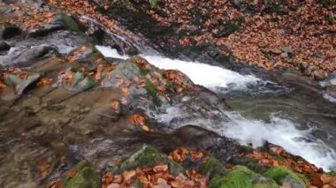 Dağdaki bir sonbahar ormanında şelale