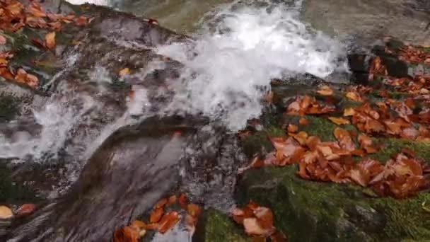 Wasserfall Einem Herbstlichen Bergwald — Stockvideo