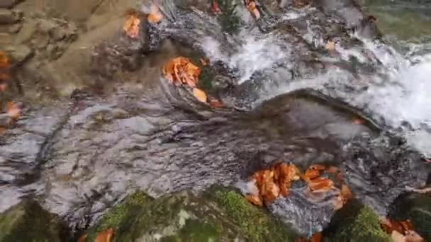 Cascata Una Foresta Montagna Autunno — Video Stock