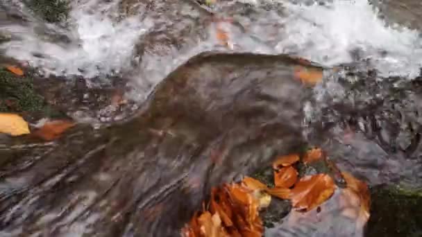 Waterval Een Berg Herfst Woud — Stockvideo
