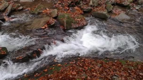 Wodospad Górskim Jesiennym Lesie — Wideo stockowe