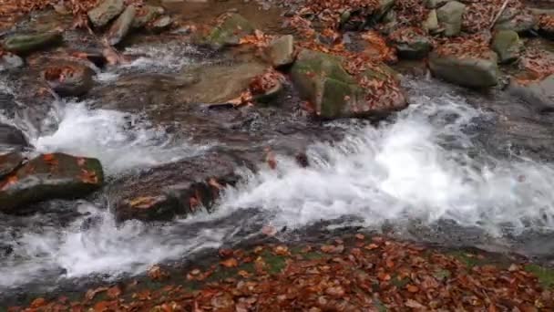 Waterfall in a mountain autumn forest — Stock Footage Waterfall Mountain Autumn Forest Video Clip