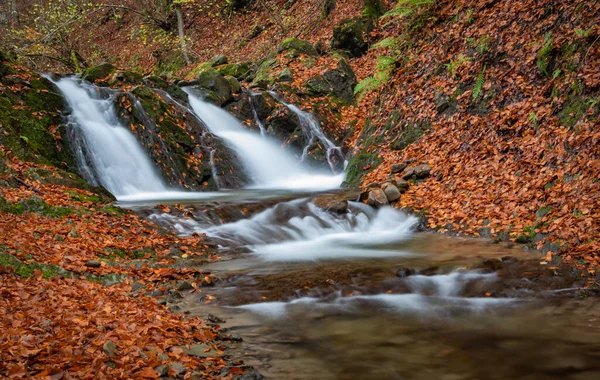 Cachoeira Uma Floresta Outono Montanha — Fotografia de Stock