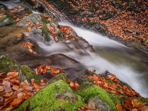 Waterfall Mountain Autumn Forest — Stock Photo, Image