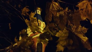 Akçaağaç yaprakları gece şehrinin arka planında