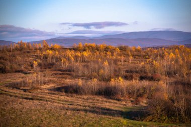 Karpatların kırsalında sonbahar manzarası