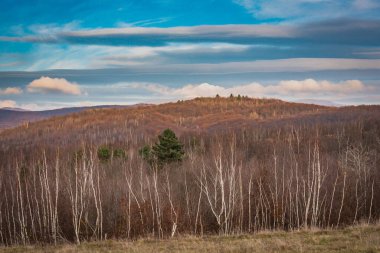 Karpatların kırsalında sonbahar manzarası