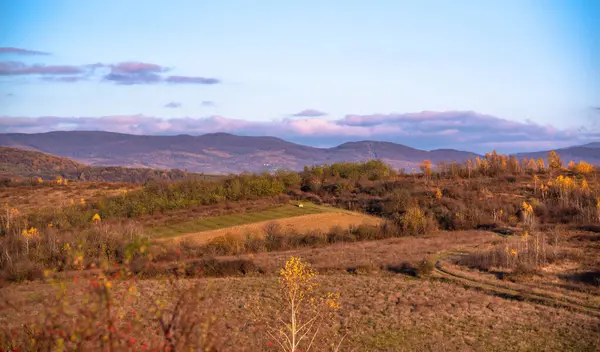 Paisaje Otoñal Campo Los Cárpatos —  Fotos de Stock