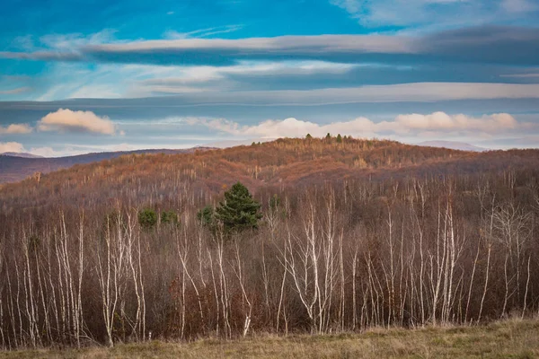 Karpatların kırsalında sonbahar manzarası
