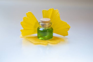 Ginkgo biloba ağacındaki terapi maddesi.