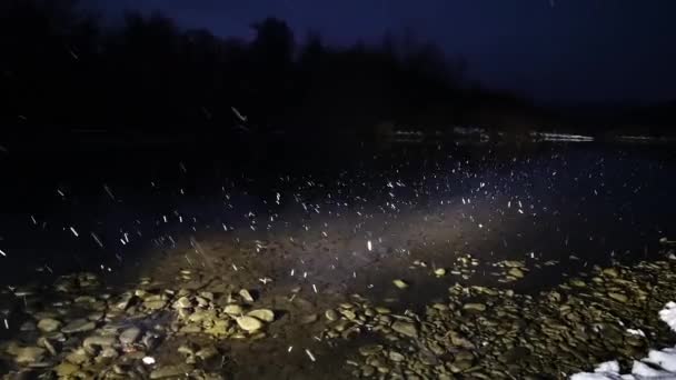 Paysage Nocturne Une Rivière Montagne Chute Neige — Video