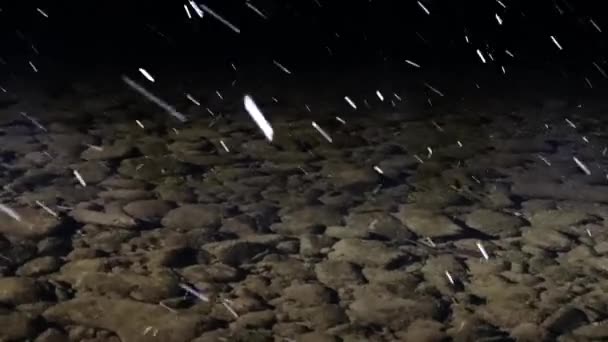 Paisagem Noturna Rio Montanha Queda Neve — Vídeo de Stock