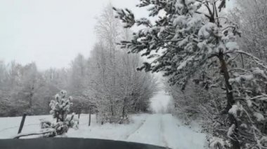 Bir SUV kışın Karpatlar boyunca seyahat eder.