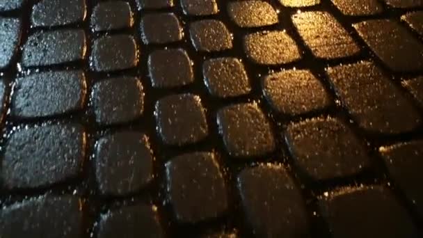 Текстуровані Тротуарні Плити Снігопаді — стокове відео